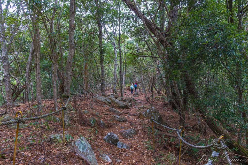 谷關七雄_波津加山_2977577