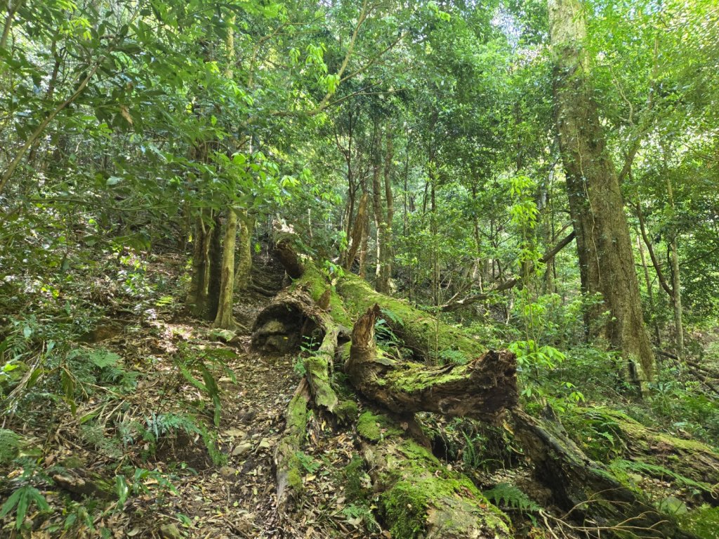 哈堪尼山_2761951