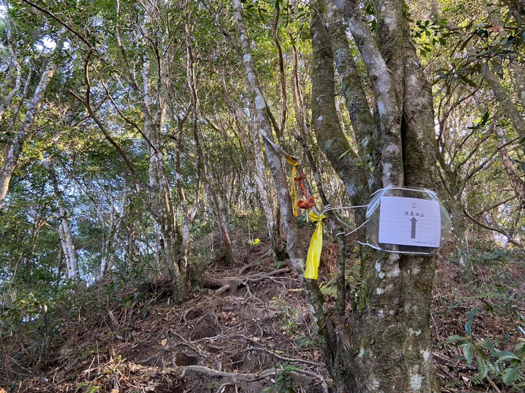 高島縱走_1921426