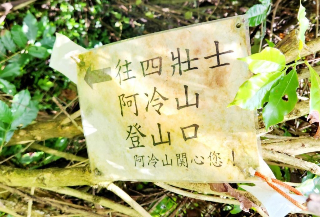 【中級山】隱藏版的大魔王，谷關第八雄，阿冷山，阿冷山前峰，阿冷山北峰_2745340