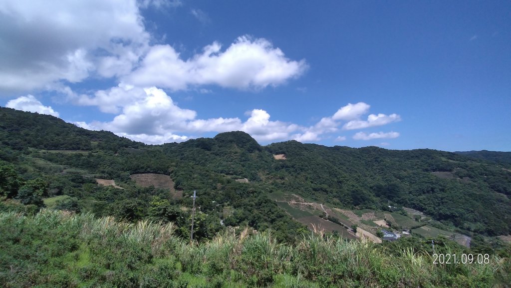 1雲山水花鳥蝶 - 新店四十份&坪林南山寺&坪雙路-桃源谷步道 2淡水三芝趴趴走_1455900