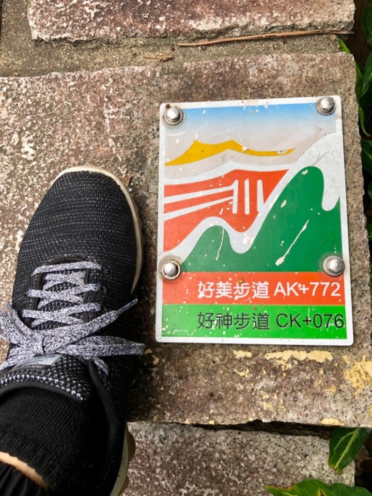 2018-11-21圓山十美劍潭山親山步道_468497