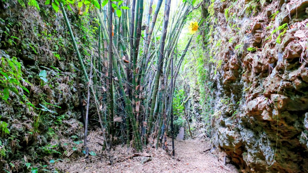 大崗山,盤龍峽谷_2954522