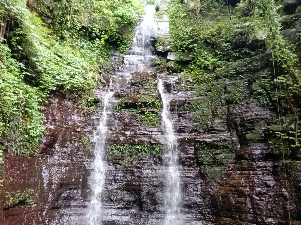 汐止區大尖山櫻花+秀峰瀑布O型_3009367