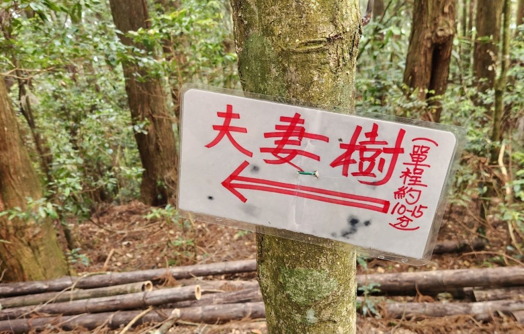 【中級山縱走】最美中級山，鳶嘴西稜縱走（鳶嘴山，醜崠山，長壽山）_2741407