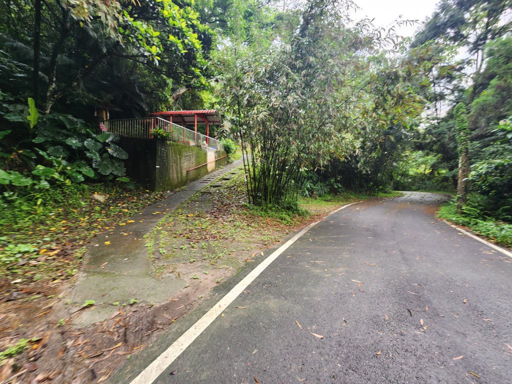 20250427大山背山田寮山毬子山騎龍山_2933645