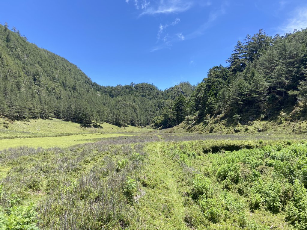 南二馬博_2860165