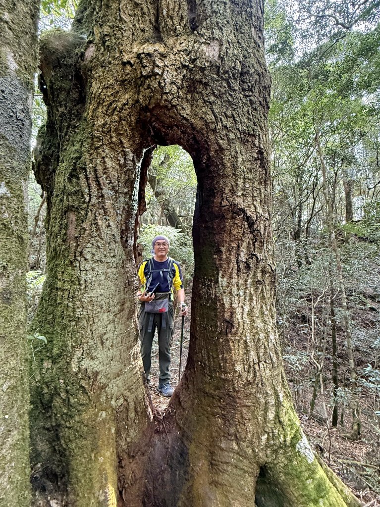 塔曼山 連走 拉拉山森林遊樂區 O繞 20251011_2923657
