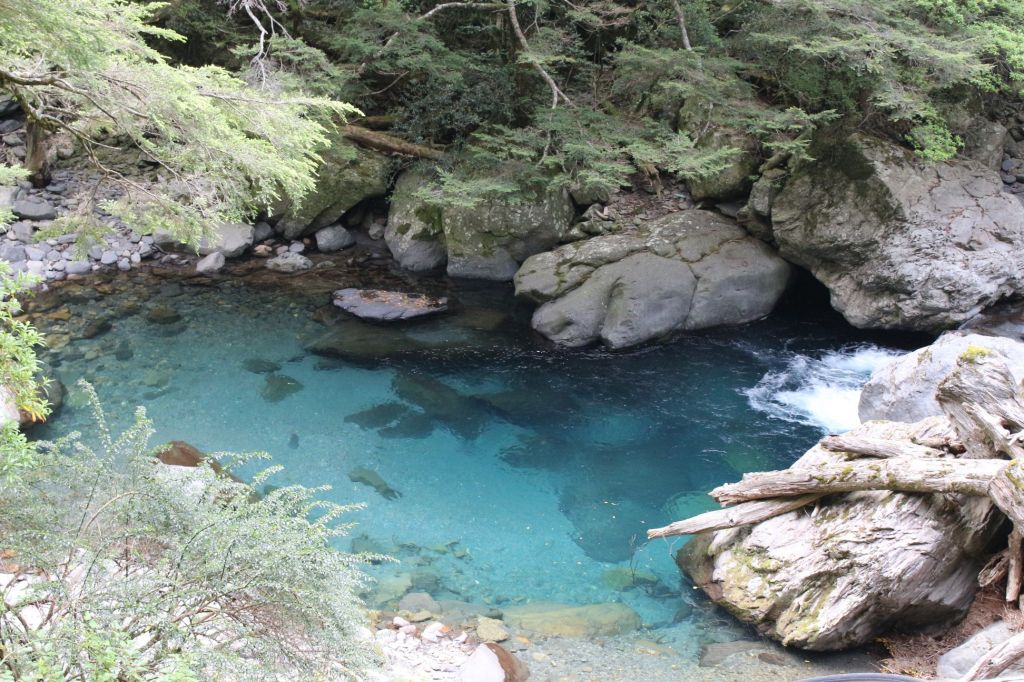 合歡溪步道，非常適合森林浴_336341