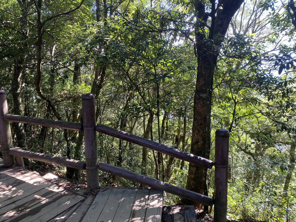 1111104東眼山_2673077