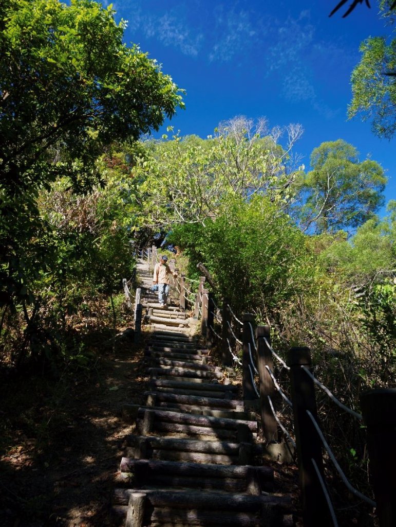 新田登山步道 聚興山封面圖