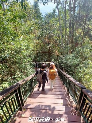 【南投魚池】郊山好視野。 金龍山(槌仔寮山)步道_2976313