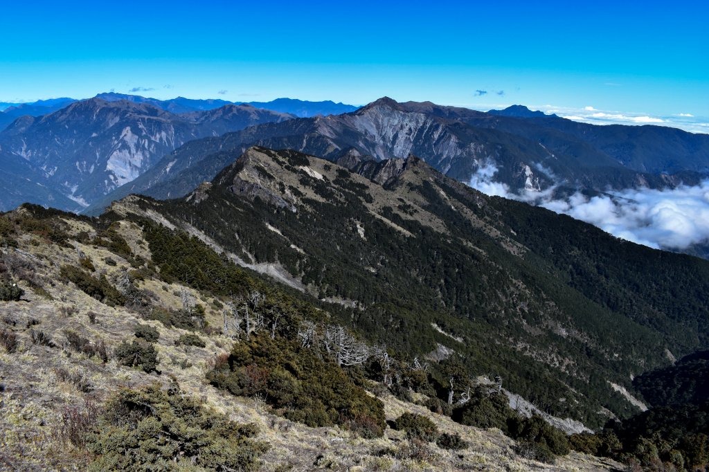 一日南臺首岳 關山(2023.1.13)_1994133