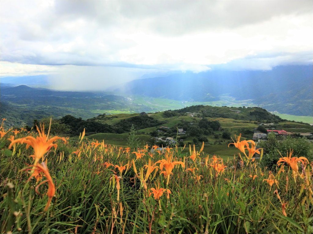 萬人山(小百岳#92)、六十石山《金針花季尾聲》_1467570