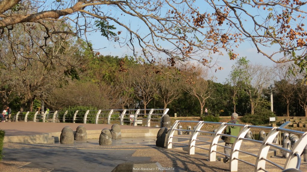 《台中》森林冬陽｜大肚山台中都會公園O繞20241229_2678768