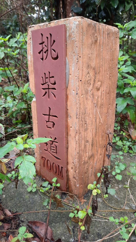 《苗栗》台鐵舊山線｜三義勝興鐵道覓境及挑柴古道O繞20250119_2693518