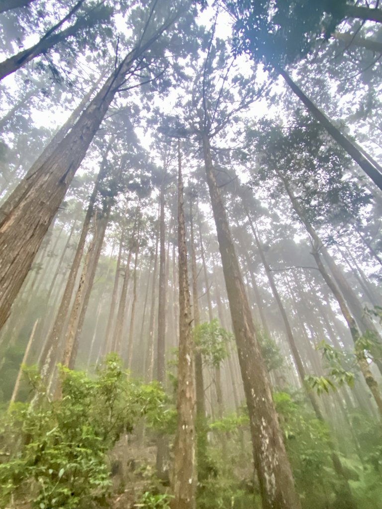 醜崠山納涼趣    2024/6/23_2534886