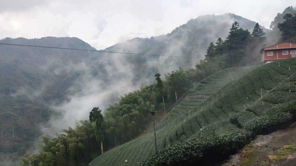 嘉義瑞里湖桶底接瑞太古道入口_2556426