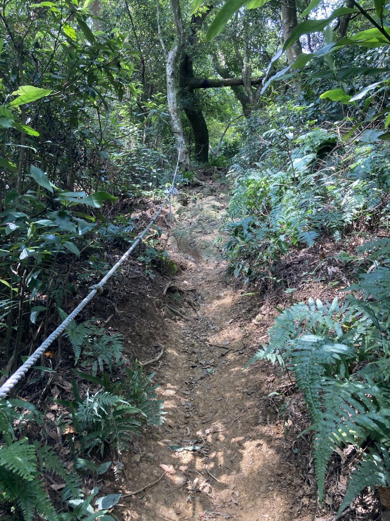 打牛崎古道_2564053