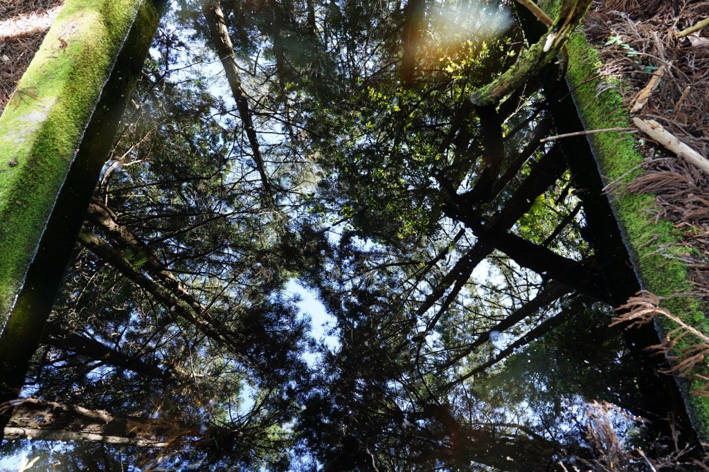 台中 和平 馬崙山_2796954