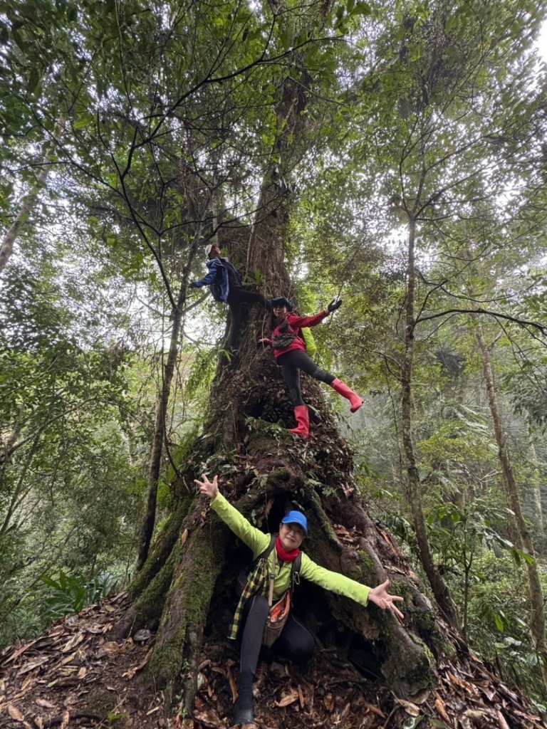 小百岳馬那邦山(H1407m)加碼採草莓_2694708