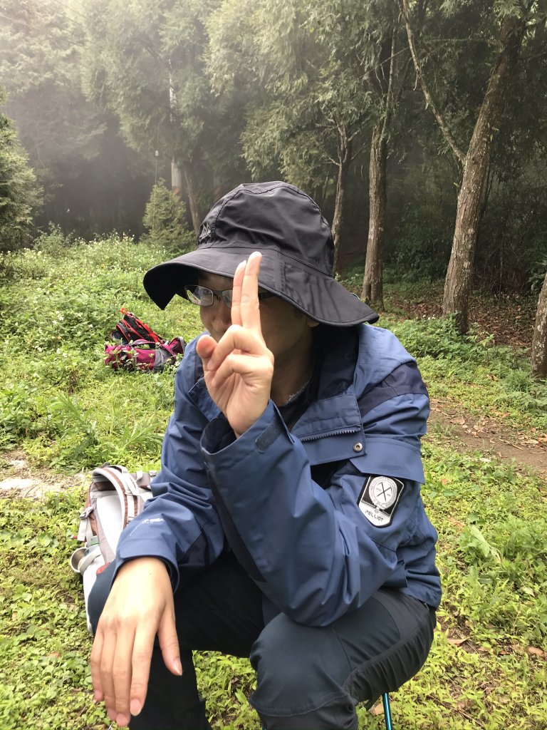 五指山之龜_915873