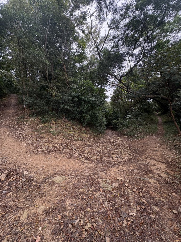 20251227尾寮山登山步道_2970487