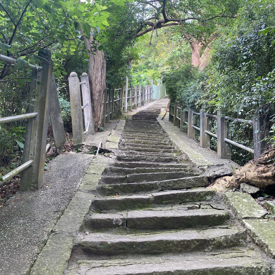 20240616觀音觀鷹尋寶任務福隆山登山步道、林梢步道、牛港稜山登山步道_2535530