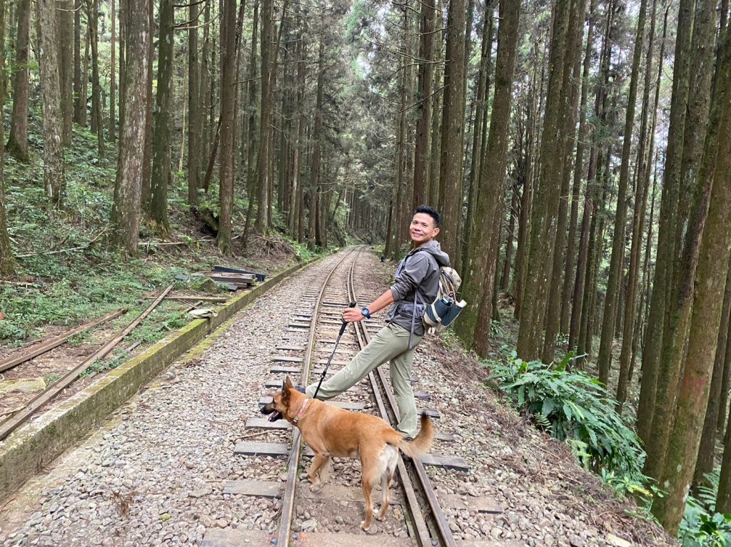 二萬坪山.屏遮那山.夫妻神木【最佳品質的森林浴】_2370227