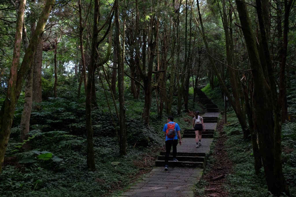 桃園復興區  東卡O縱_2823798
