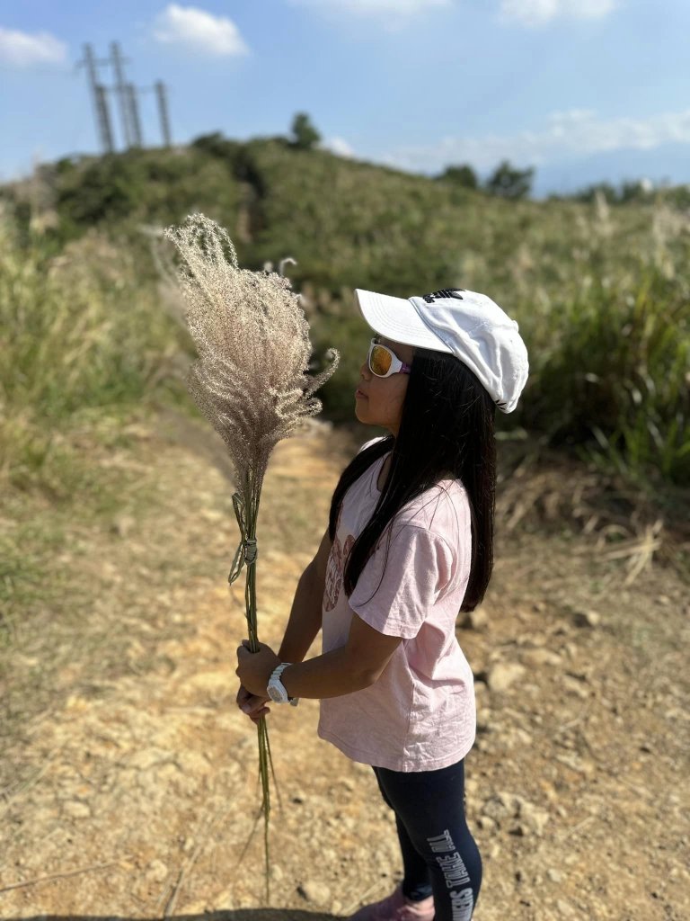 20231105三角埔頂山_2354439