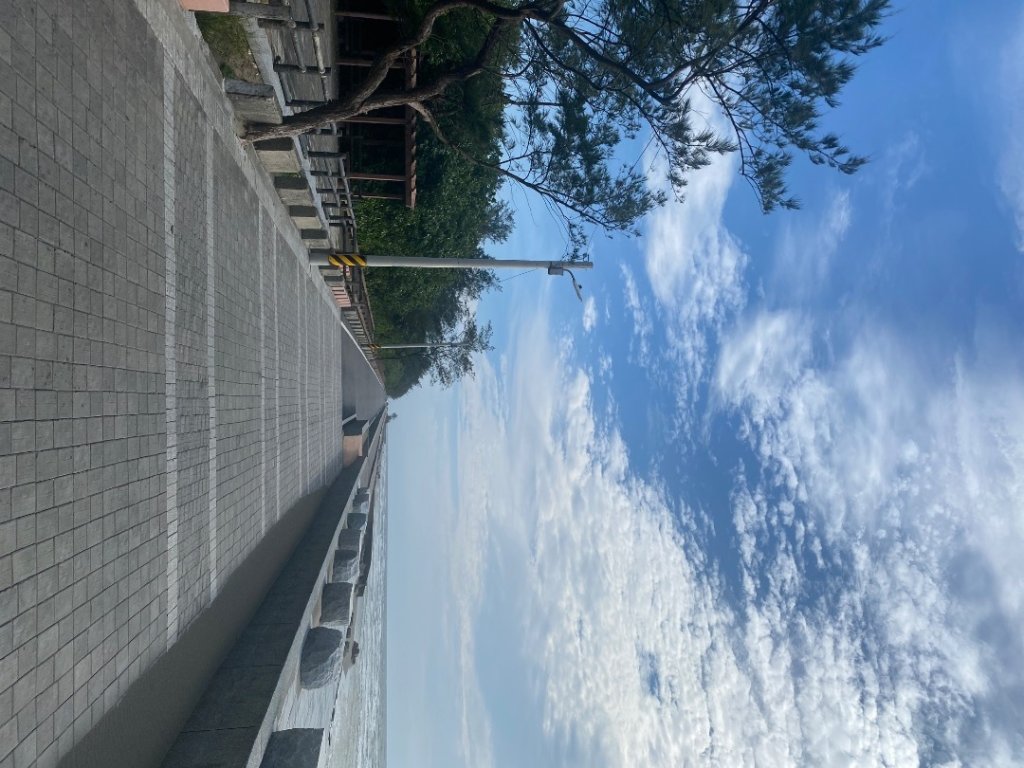霄裡任務_2883518