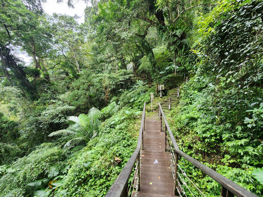 20241208上坪登五指山_2683692