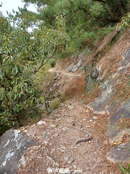 【台中和平】2022「谷關七雄，慢旅台中」登山活動認證。 360度全視野。 谷關七雄~東卯山步道_1897830