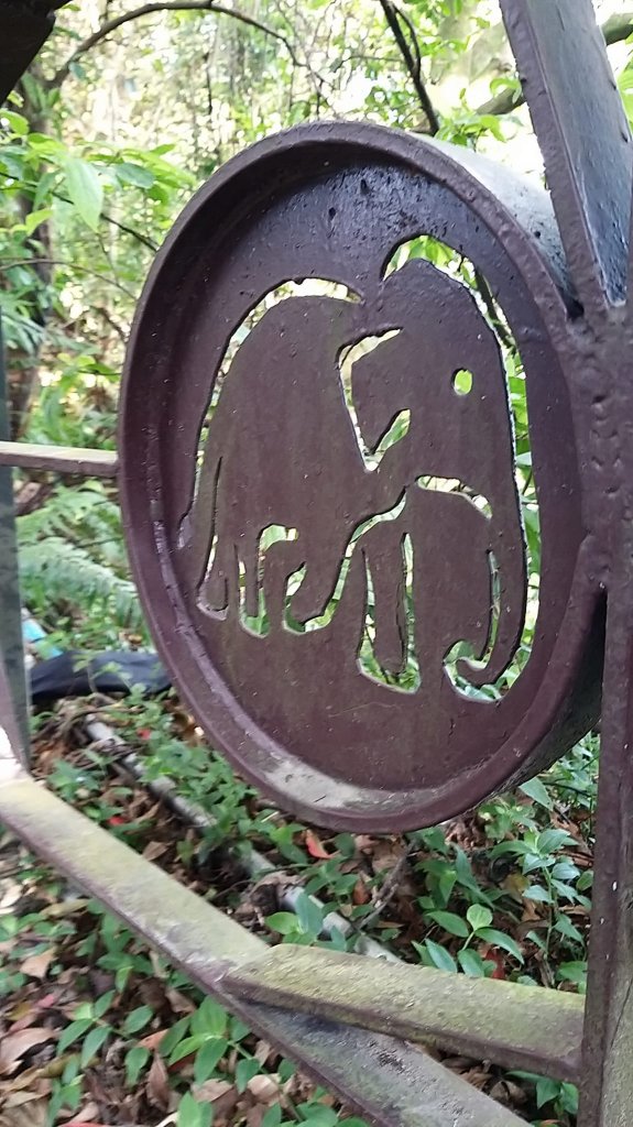 230227-迎來連假北上漫遊小百岳#009 劍潭山+南港山系象山。美美兔忘記出門。_2116404