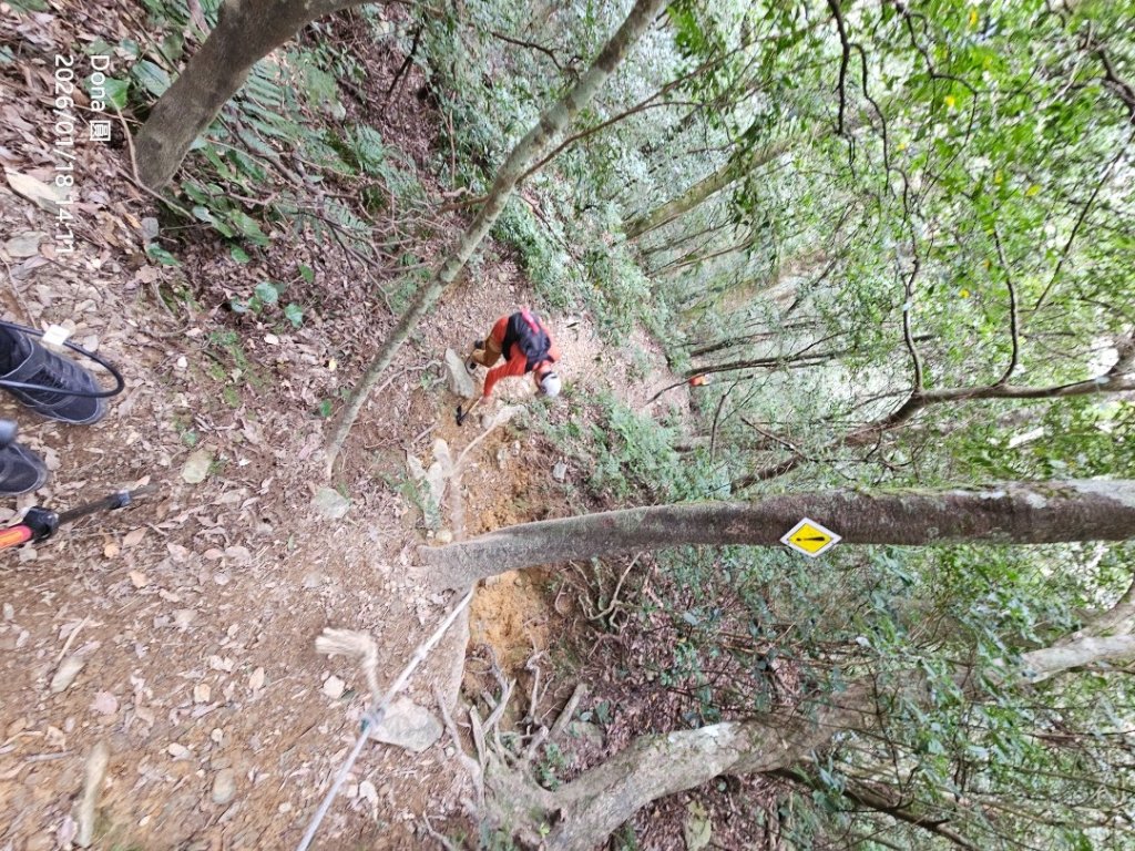 20260118南插天山.魯培山.上宇內山(南插北峰)_2989832