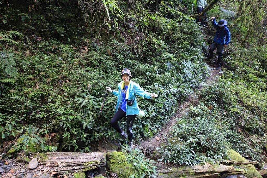 水樣森林 第一次在山裡過夜_659187