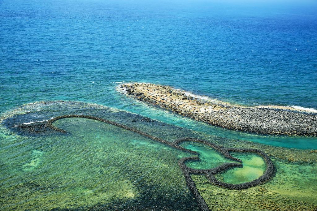澎湖采風---玄武岩-藍洞-天人菊-燕鷗_139282