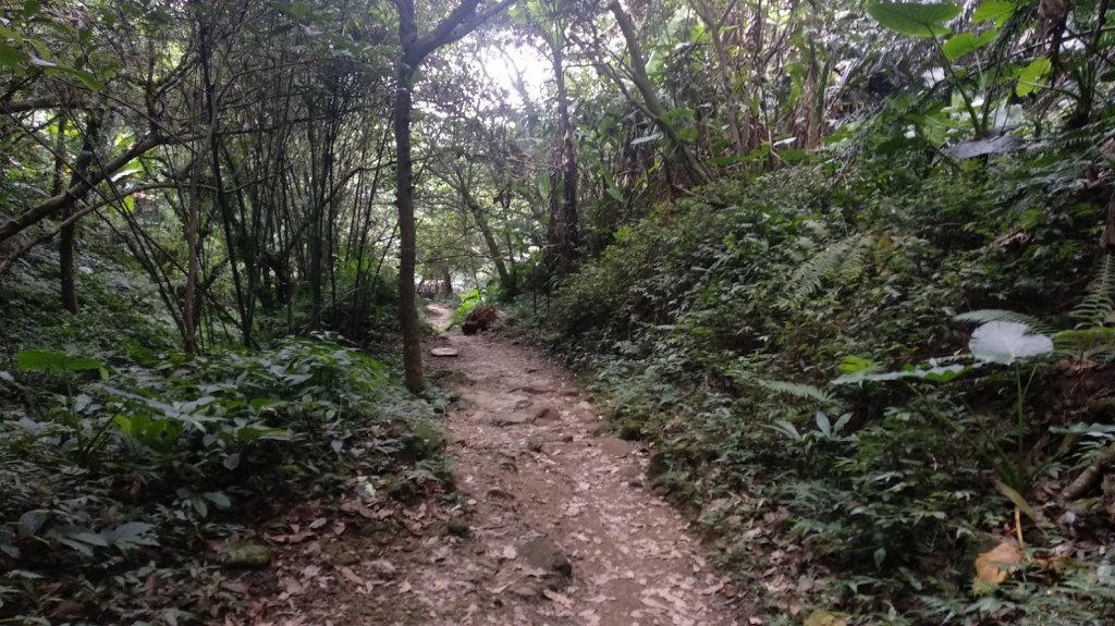 2020 7/11 石門山_1029666