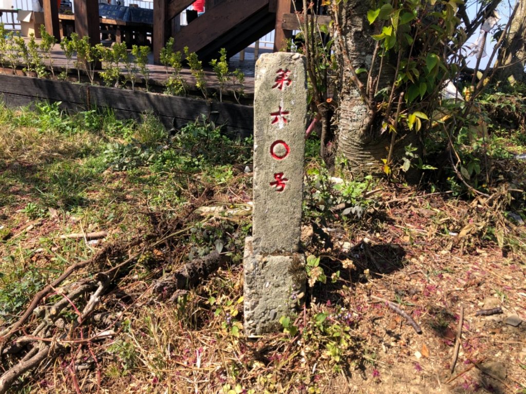 雲林縣古坑鄉樟湖生態國中小學、後棟仔山_1270531