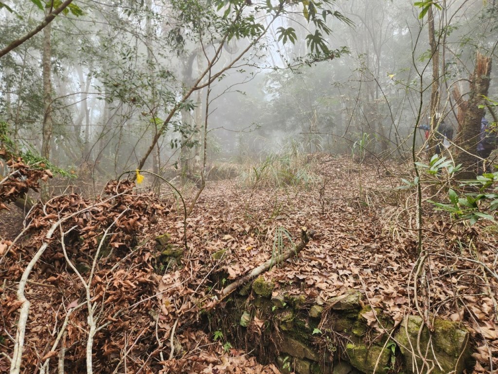 【中級山】芝生毛台山，芝生毛台山西峰，秀巒軍艦岩，屯野生步道，屯野生砲台_2745121