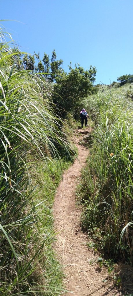 2022.7.22台北大縱走第2段攀岩路段很好玩_1774143