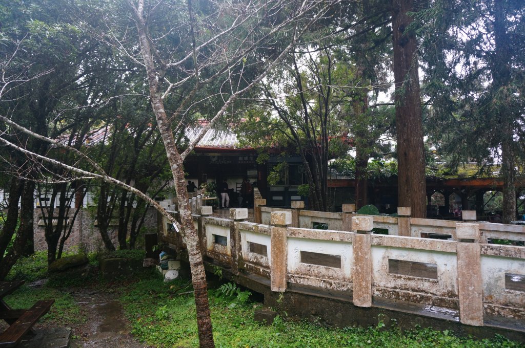 溪頭自然教育園區_2016891