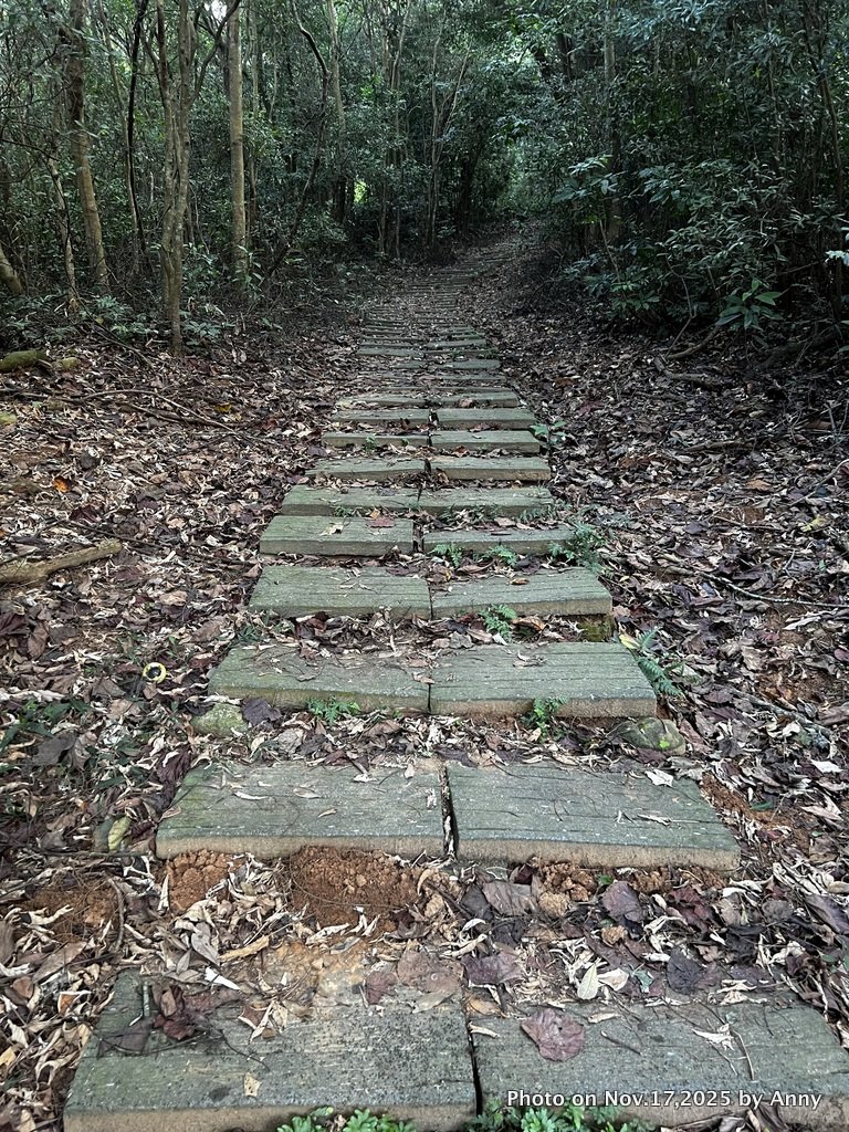 苗栗三員縱走_2942828