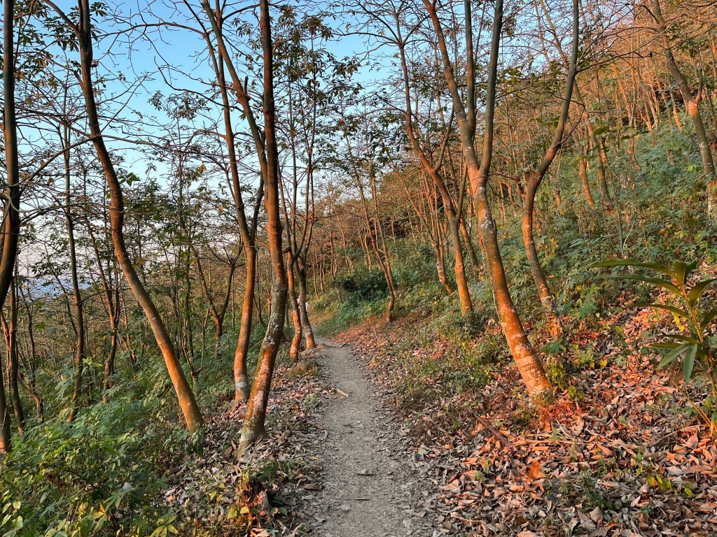 2023_0126_笠頂山_2013448