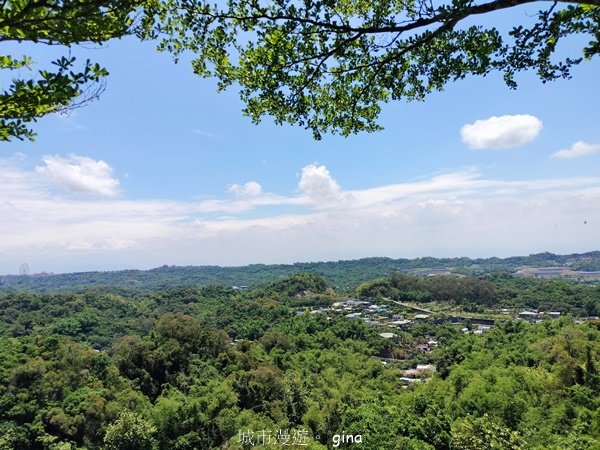 【高雄大社/岡山】郊山連峰稍有挑戰。 大社觀音山步道(立山x高崎山x長野山)封面圖