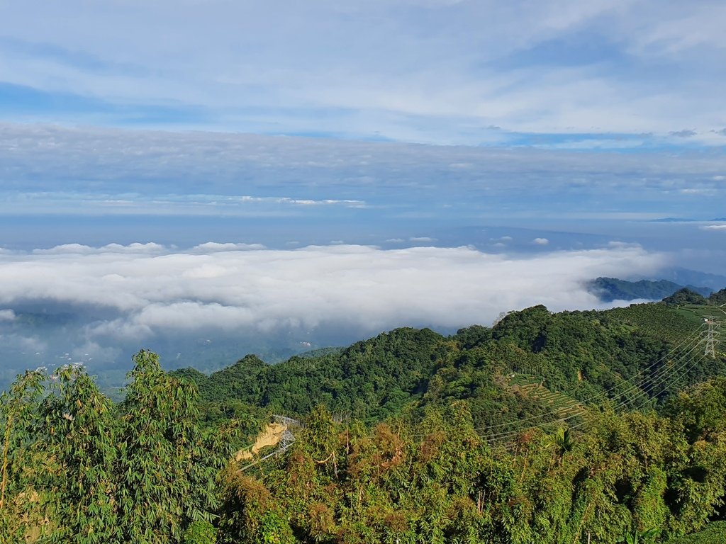 【雲嘉茶園之美】後棟山連走大二尖山_1532192