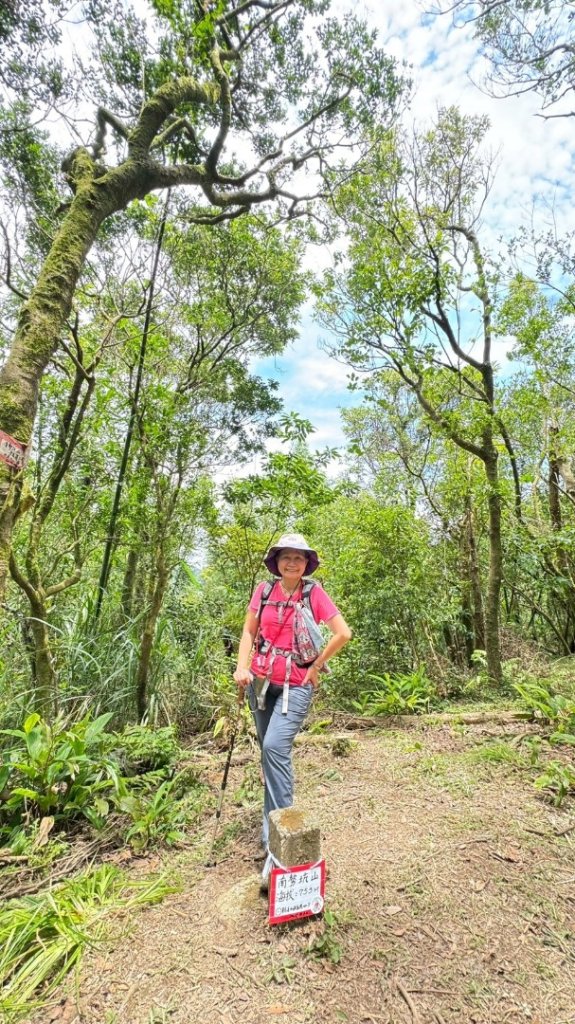 南勢坑山、鑽石峰、人面頭山、獅公髻尾山O走_2809773