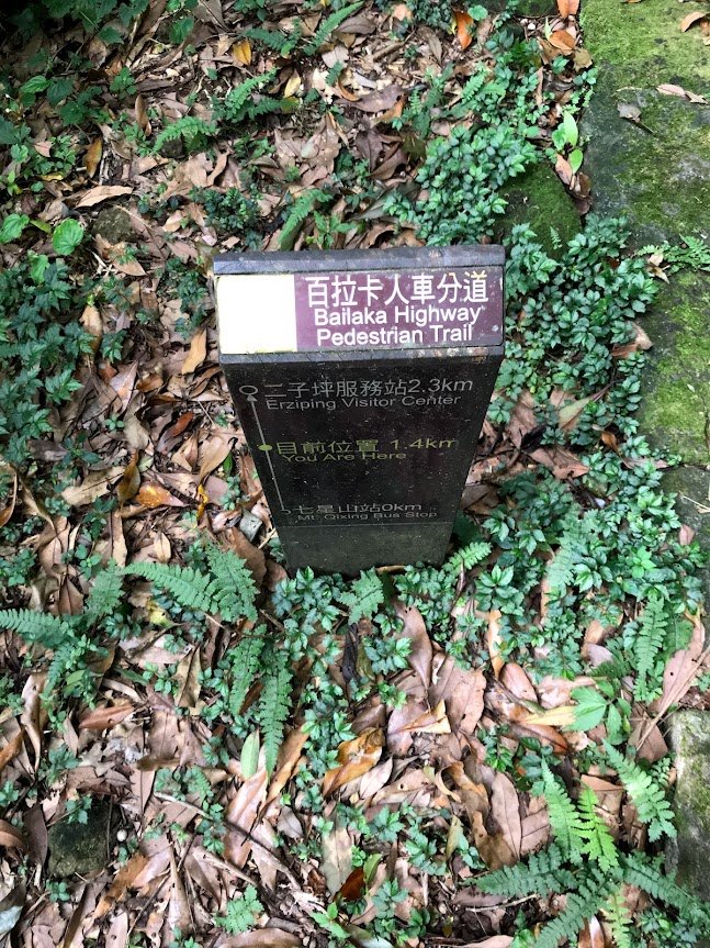 陽明山東西大縱走20191012_1968264