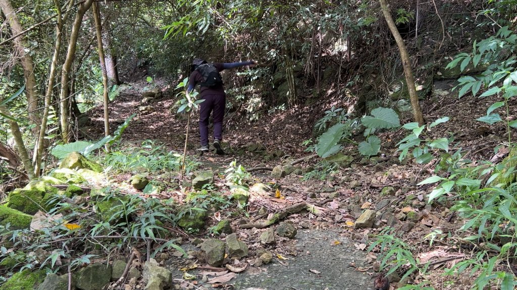 九份二山_2597563